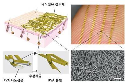 韩研发会呼吸的电子皮肤 可监控各项健康指数_智能_环球网